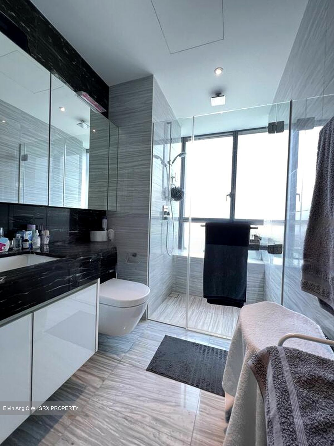 8 Saint Thomas (D9), Condominium #460530251